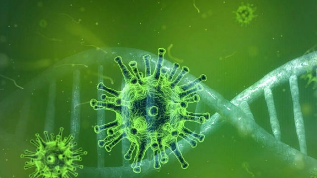 20 милиона са заразените с COVID-19