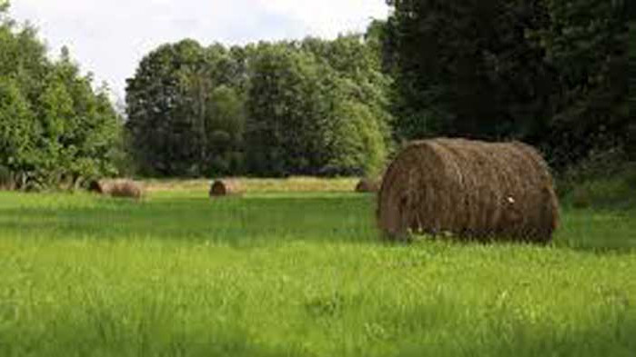 Хороскоп за 12 август 2020 г.