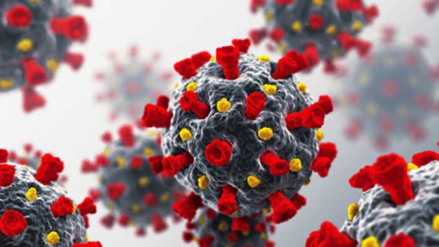 210 нови случая на COVID-19 у нас