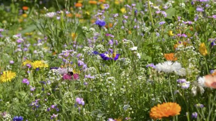 Хороскоп за 13 август 2020 г.