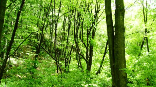 Хороскоп за 14 август 2020 г.