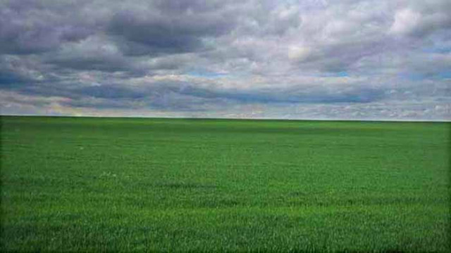 Хороскоп за 15 август 2020 г.