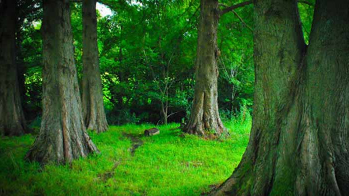 Хороскоп за 16 август 2020 г.