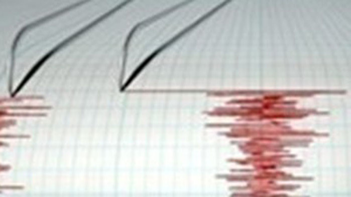 Земетресение с магнитуд 5,2 разтърси Чили