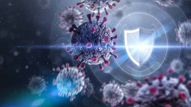 Има ли причина за рекордния ръст на заразени с COVID-19 по света?