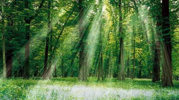 Хороскоп за 18 август 2020 г.