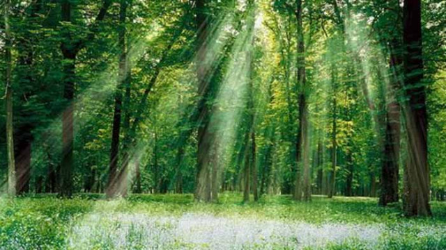 Хороскоп за 18 август 2020 г.