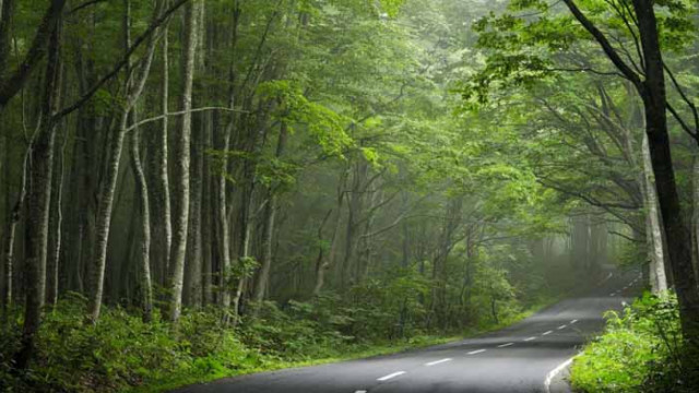 Хороскоп за 20 август 2020 г.