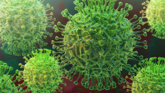 151 нови случая на COVID-19 у нас, най-много са в Благоевград