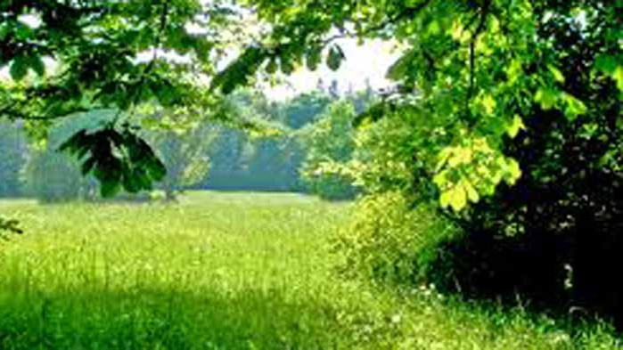 Хороскоп за 21 август 2020 г.